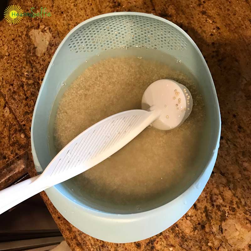 Quinoa Soaked Overnight